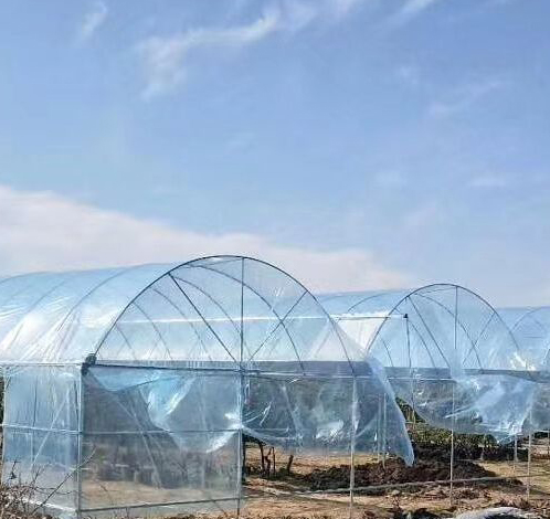 大棚膜全新料生产，厚度、宽度，长度、可定制。